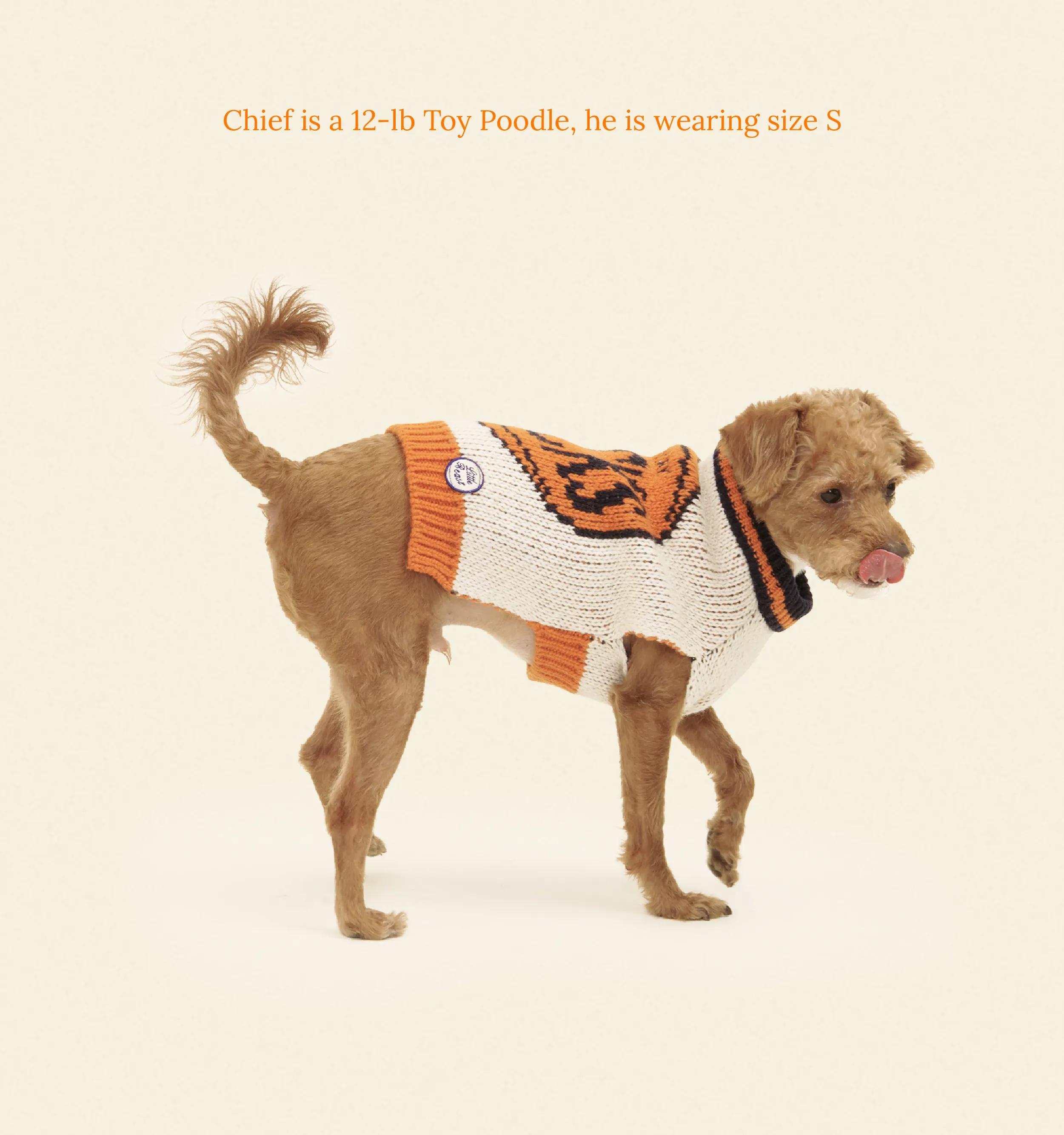 New York Knicks Dog Sweater - NBA